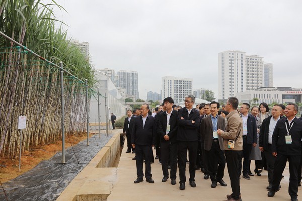 upfile 016A6893_副本.jpg