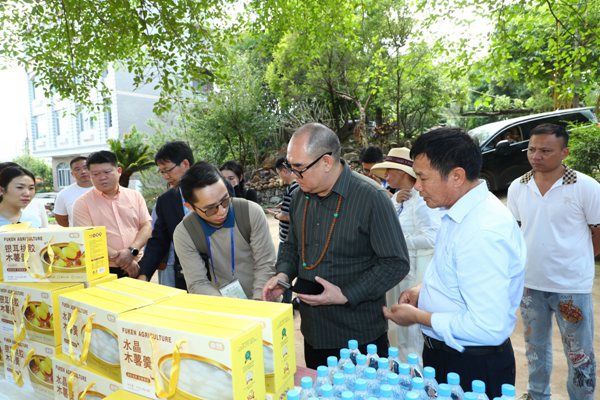 upfile 与会人员了解木薯产品。_副本.jpg