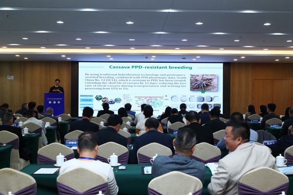 upfile 中国热带农业科学院热带作物品种资源研究所陈松笔研究员作《中国木薯产业概况和研究进展》报告。_副本.jpg