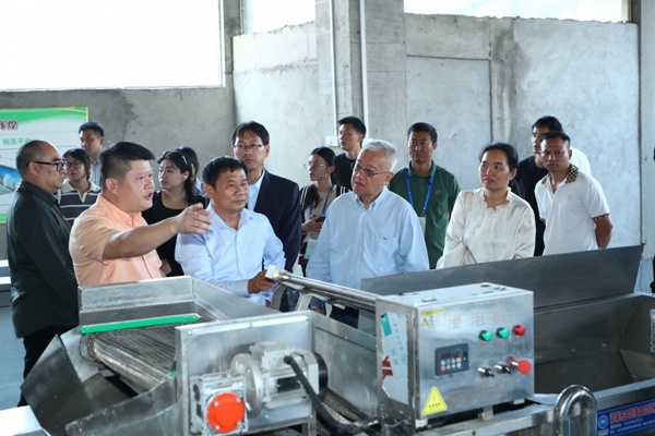 upfile 与会人员实地参观木薯制品生产线。_副本.jpg