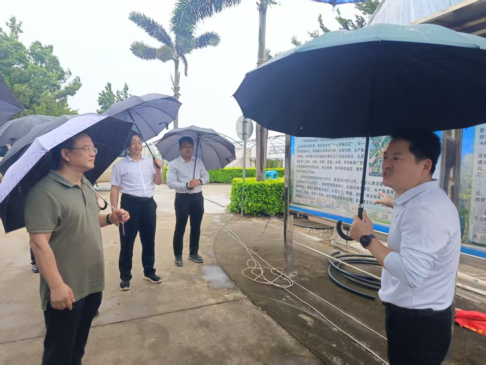 山东省农业科学院党委书记梁金光到广西南繁基地调研