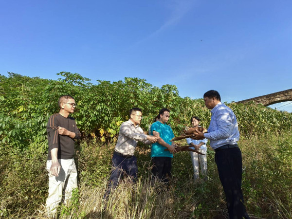 upfile 7164399ed26a6ea102aaad58cdd89210.jpg