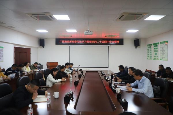 广西南亚所党委召开党委扩大会议传达学习党的二十届四中全会精神