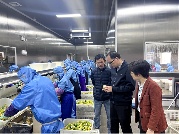 加工所科技人员赴北流开展百香果保鲜与加工技术服务