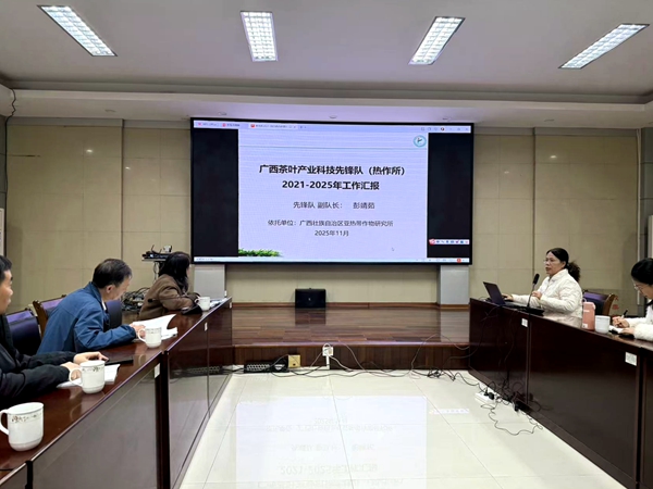 广西茶叶产业科技先锋队副队长彭靖茹在进行广西热作所工作汇报_副本.jpg