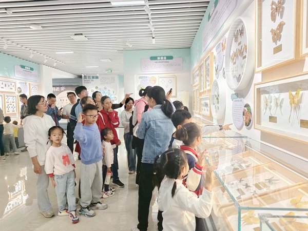 upfile LOCAL1763538445039N7XQ75S500.jpg