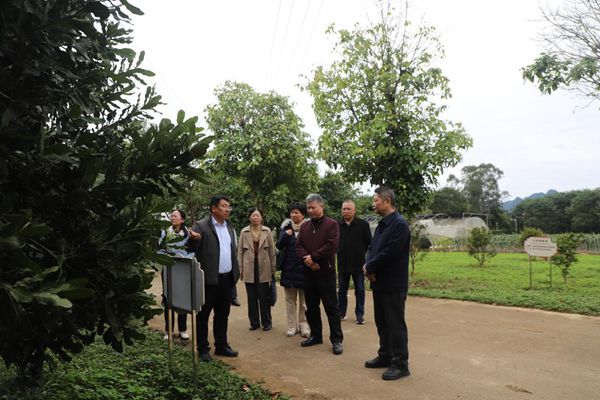 南宁市市场监督管理局到广西南亚所开展专题调研