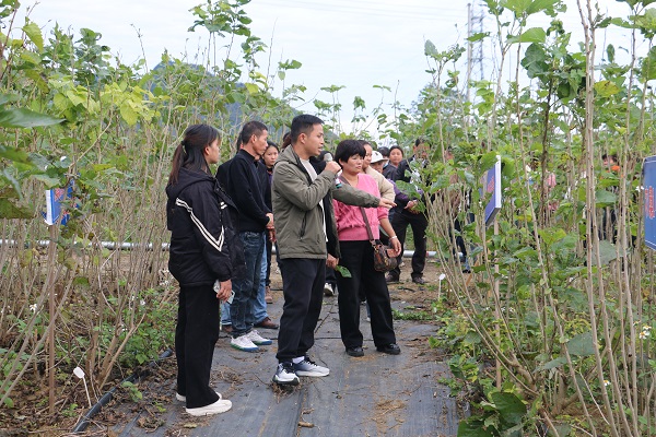 upfile 07ecc4d2019715228b7a9107ed147d5.jpg