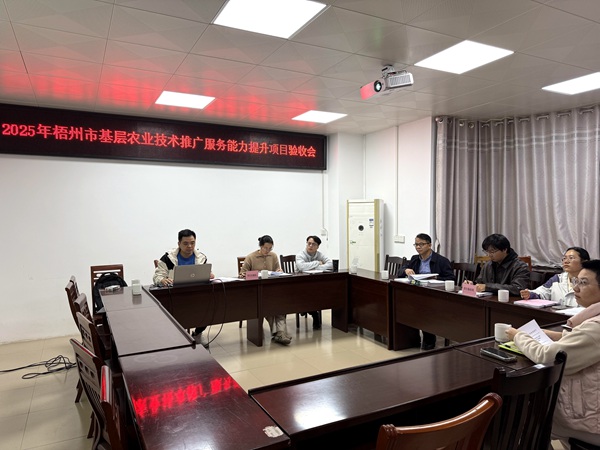 upfile 微信图片_20251201112016_81_40_副本.jpg