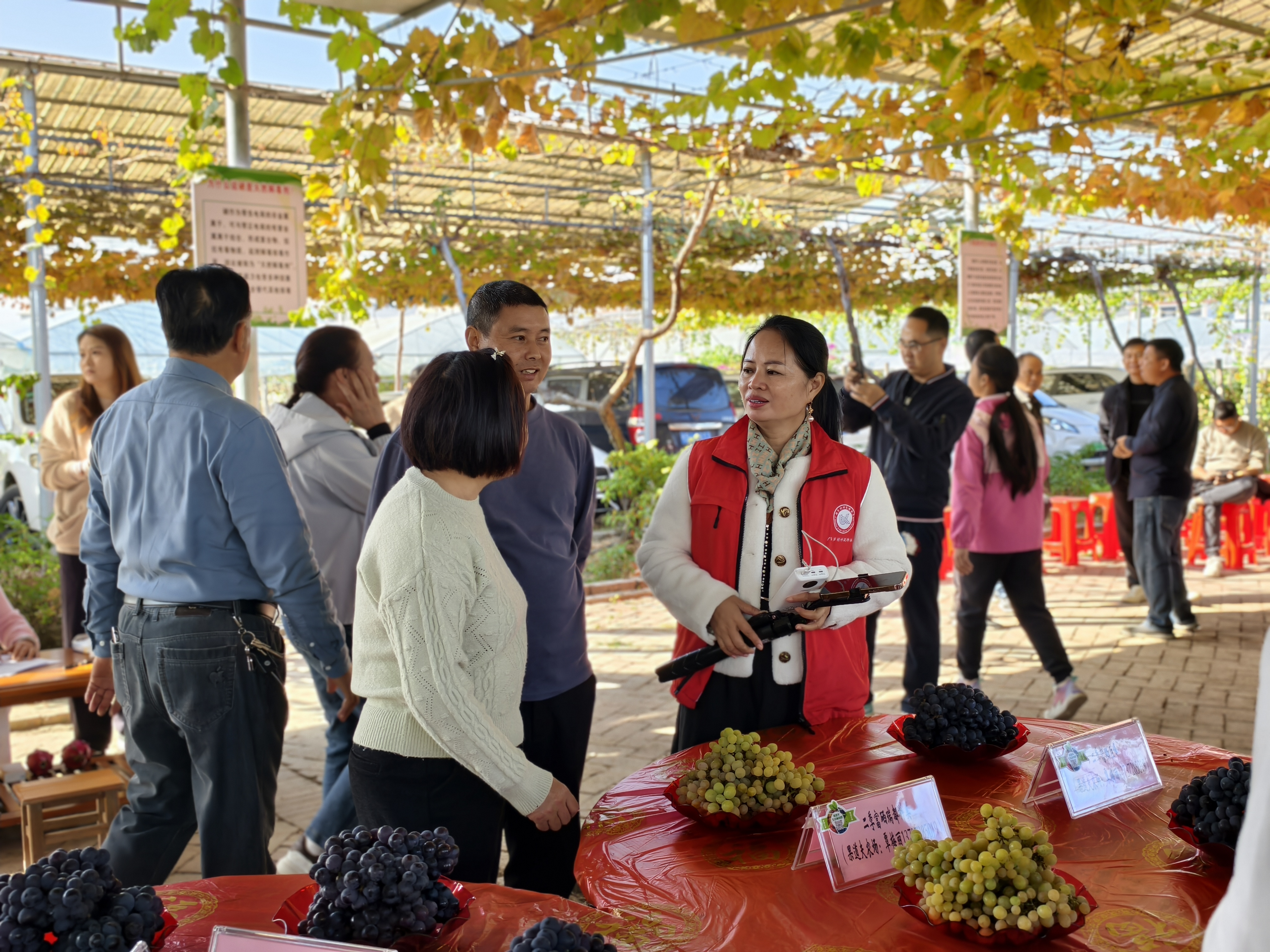 葡萄所科技特派员到柳州市柳江区开展“富硒农产品体验日”助农增收活动