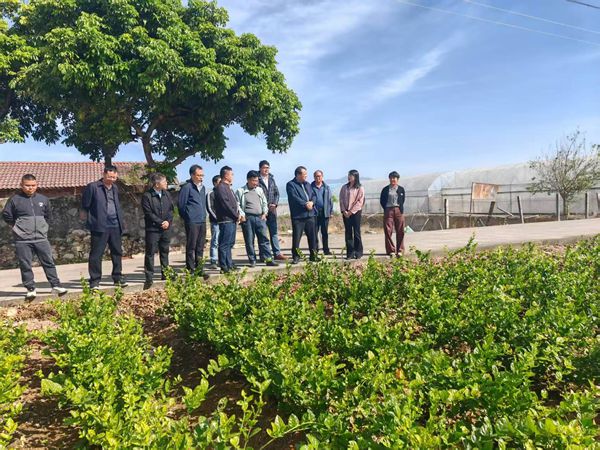 upfile 11月28日,广西农业科学院党组副书记陆宇明到贺州市农业科学院开展调研指导_副本.jpg