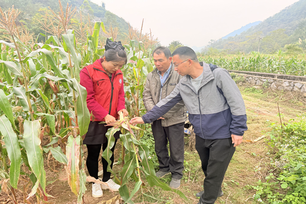 upfile 00AAEC041127A5A8E7DB6D5C2FEFC7AA.png