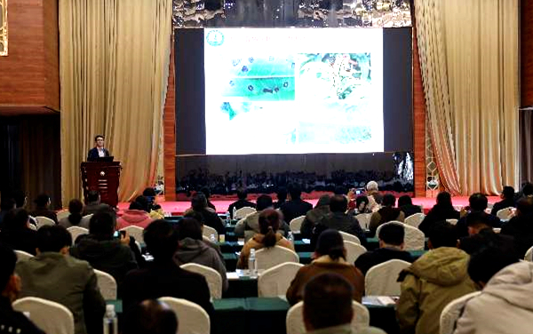 upfile 490f6c3ae82cc0d0ef91264da8d390a9_副本.jpg