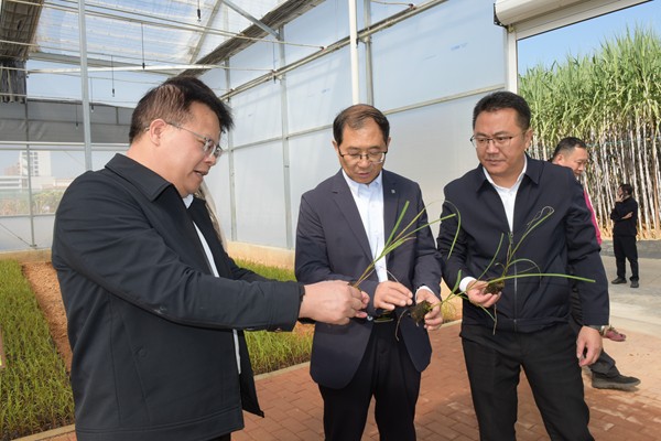 upfile JPG_3489_副本.jpg