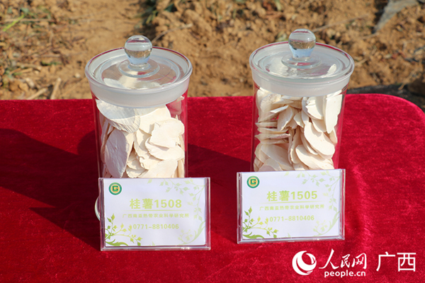 upfile 图片2_副本.png