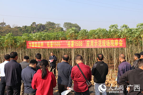 upfile 图片1_副本.png