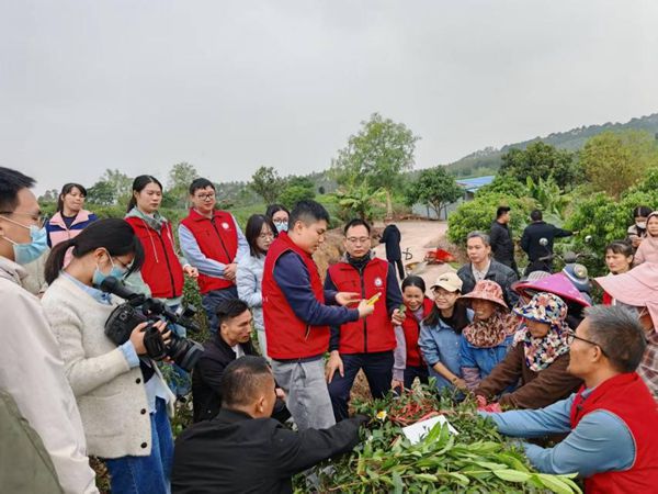 灵山县系列技术推广_副本.jpg