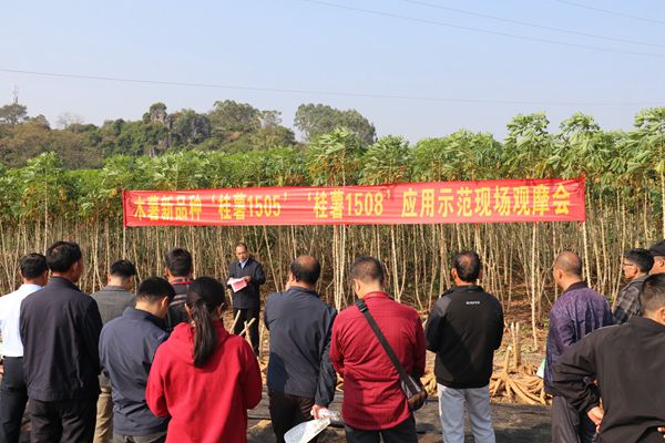 upfile 观摩会_副本.jpg