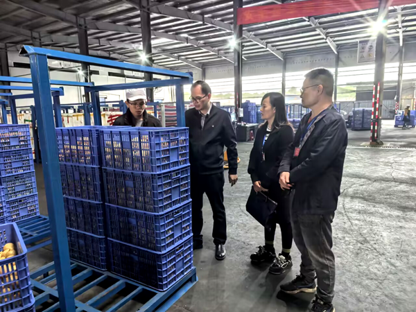 加工所科技人员赴百色市开展加工技术服务