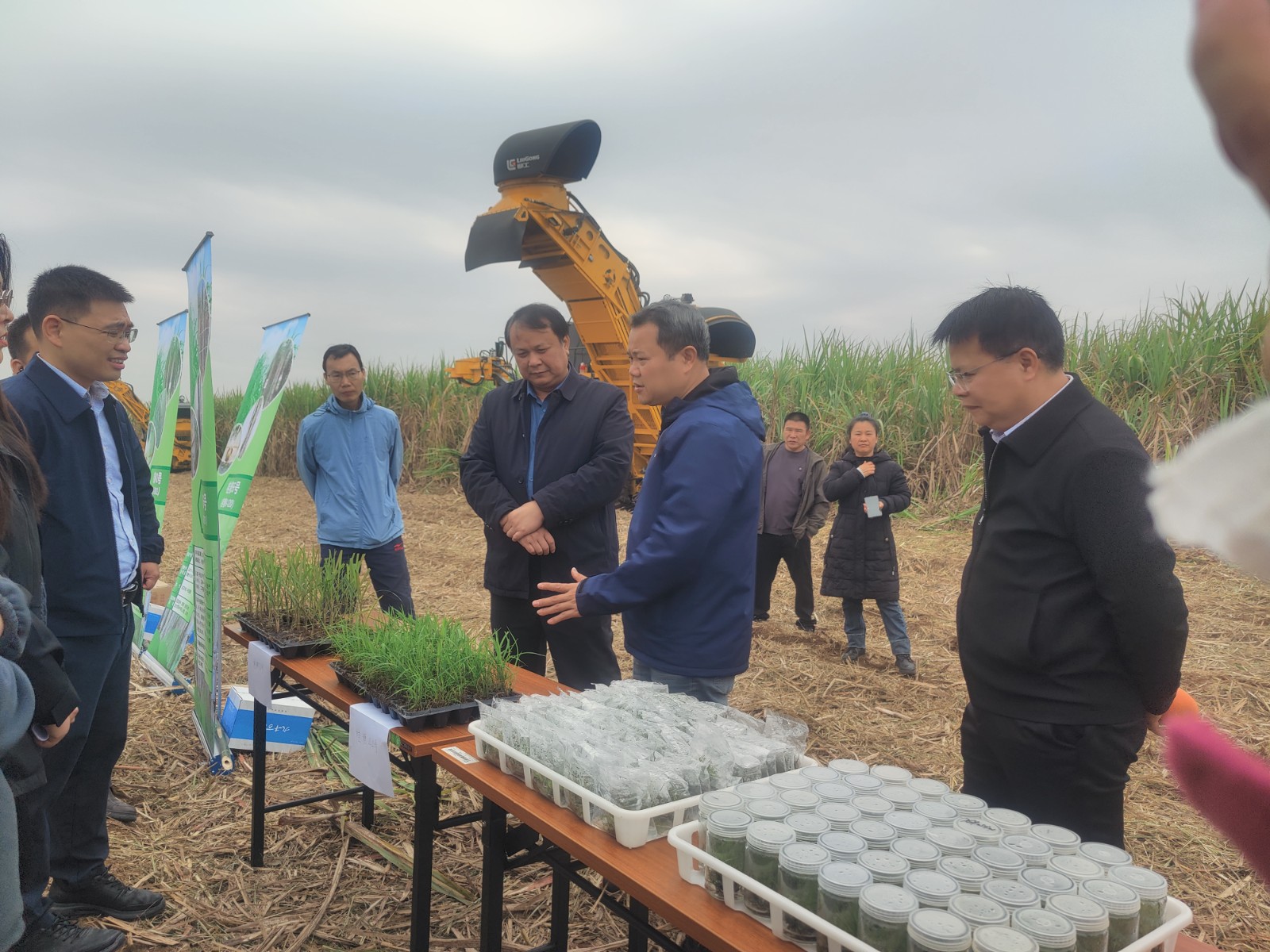 国家重点研发计划项目“广西高糖高产甘蔗新品种选育与装备研制及集成示范”成果现场观摩会在南宁市宾阳县举行