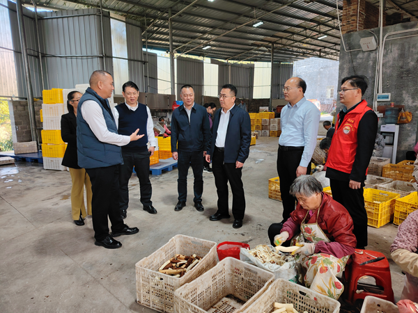 院党组书记、院长孙健带队赴兴业县定点帮扶村宣讲党的二十届四中全会精神并调研乡村产业发展