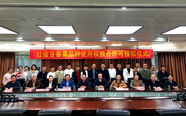 upfile 图片3_副本.jpg