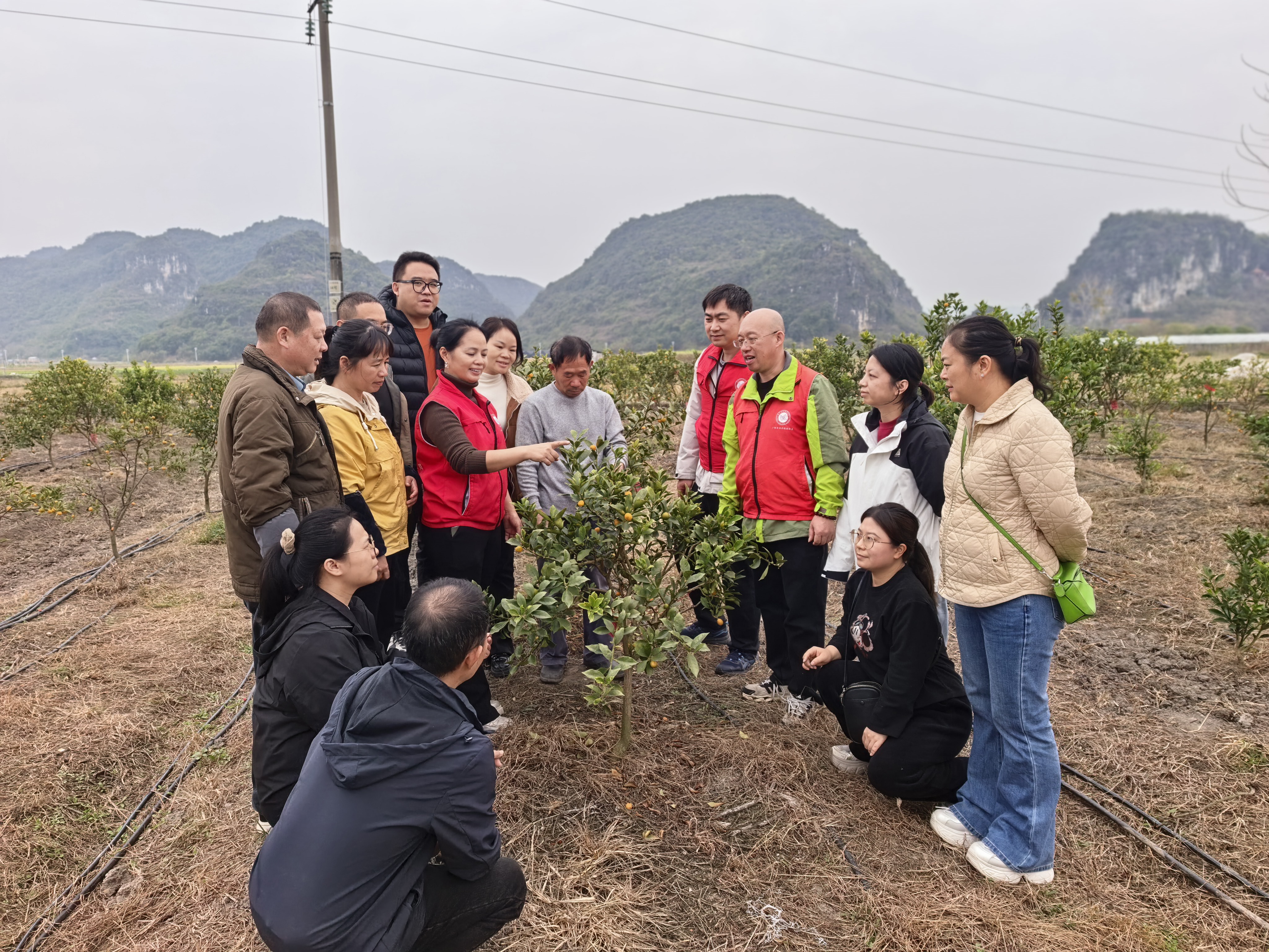 葡萄所科技特派员赴柳州市柳江区开展葡萄冬种绿肥技术培训