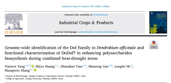 upfile 图片4_副本.jpg