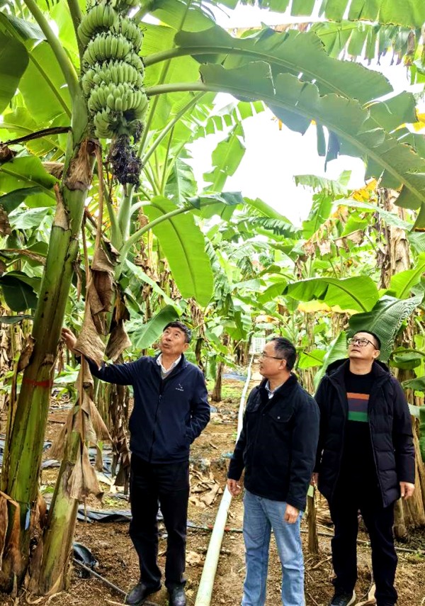 upfile 53d80e8f1a46e0a003db04270d6a16d9_副本.jpg