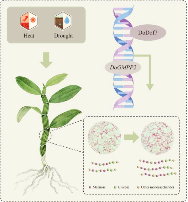 upfile 图片5_副本.jpg