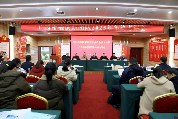 upfile IMG_202601094632_600x400.png