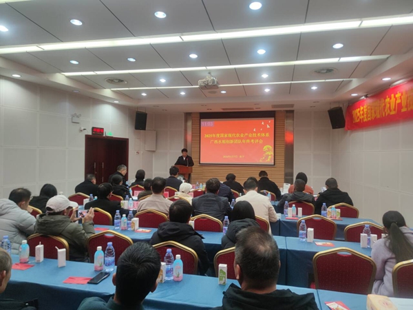 upfile 2026.1.8_副本.jpg