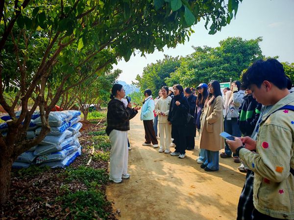 广西民族师范学院种子科学与工程专业师生到广西南亚所开展专业见习活动