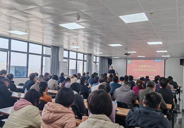 upfile 2026.1.14_副本.jpg