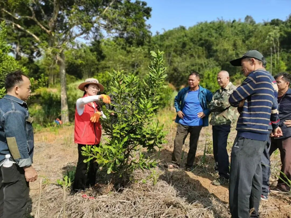 广西南亚所郑树芳获“广西三八红旗手”称号