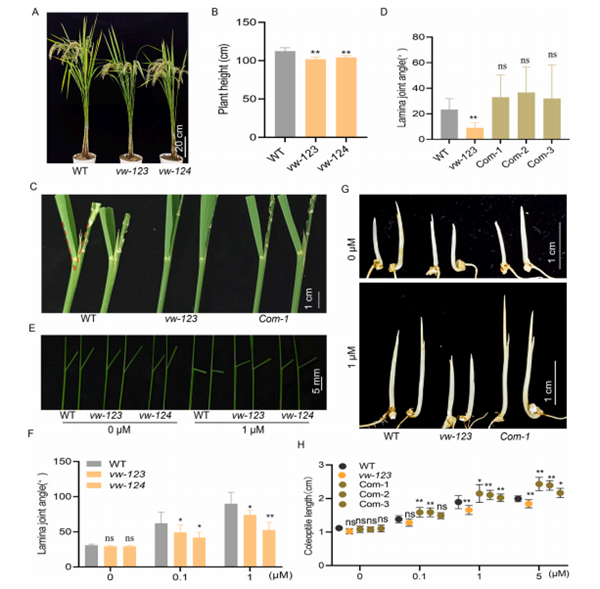2026.3.17 (2)_副本.png