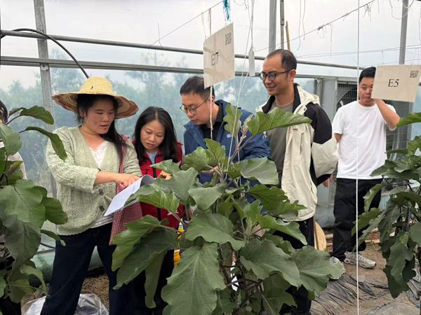 upfile 象州科技服务1_副本.jpg