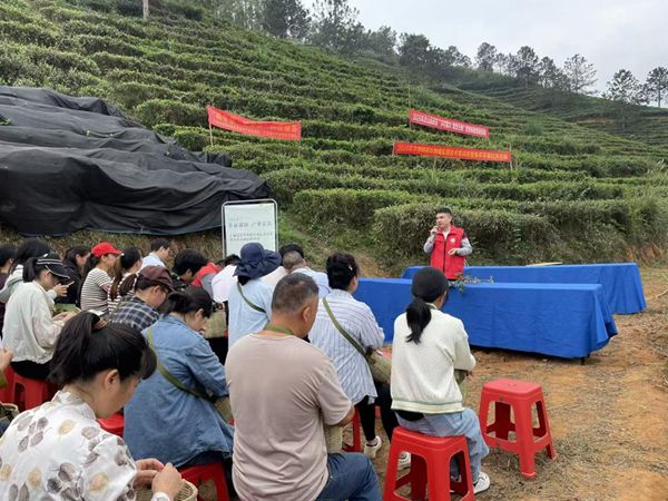 upfile 灵山县技术培训_副本.jpg