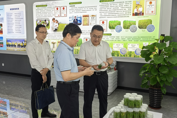 广西农村投资集团有限公司到广西农业科学院座谈交流