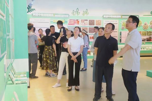 荔浦市农业农村局到广西南亚所调研交流特色果树