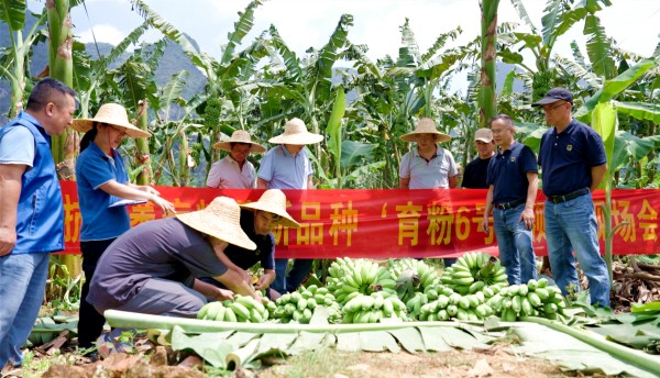 图片1_副本.jpg