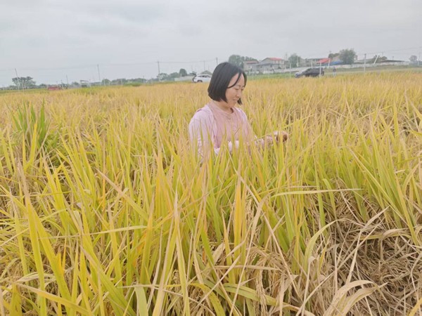 李孝琼在田间调查_副本.jpg