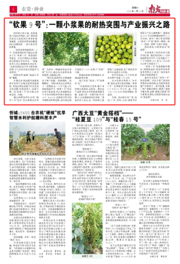 钦果9号.png