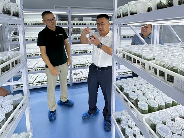 孙书记2_副本.jpg
