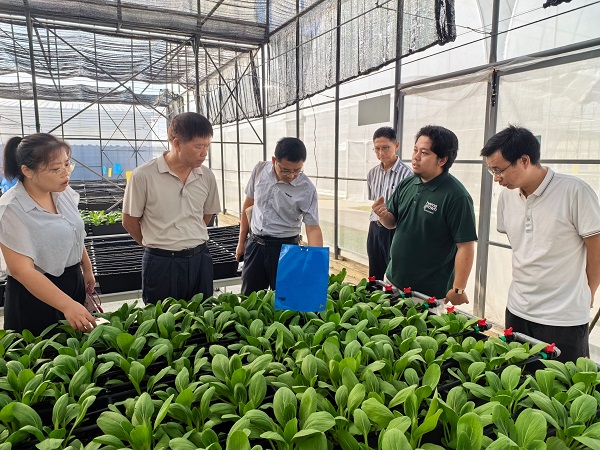 广西农业科学院科技人员赴文莱开展科技合作交流-600.jpg