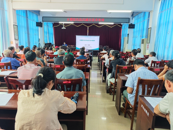 广西南亚所木薯研究团队受邀前往武鸣区灵马_副本.jpg