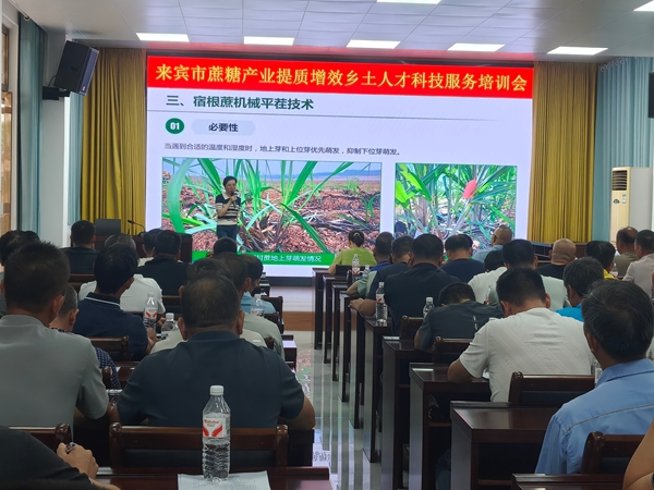 微信图片_20260907174650_141_2.jpg