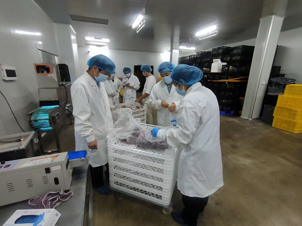 微信图片_20260922172803_440_290_副本.jpg