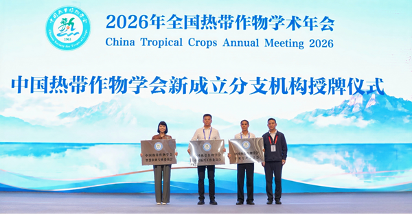 图片2_副本.png