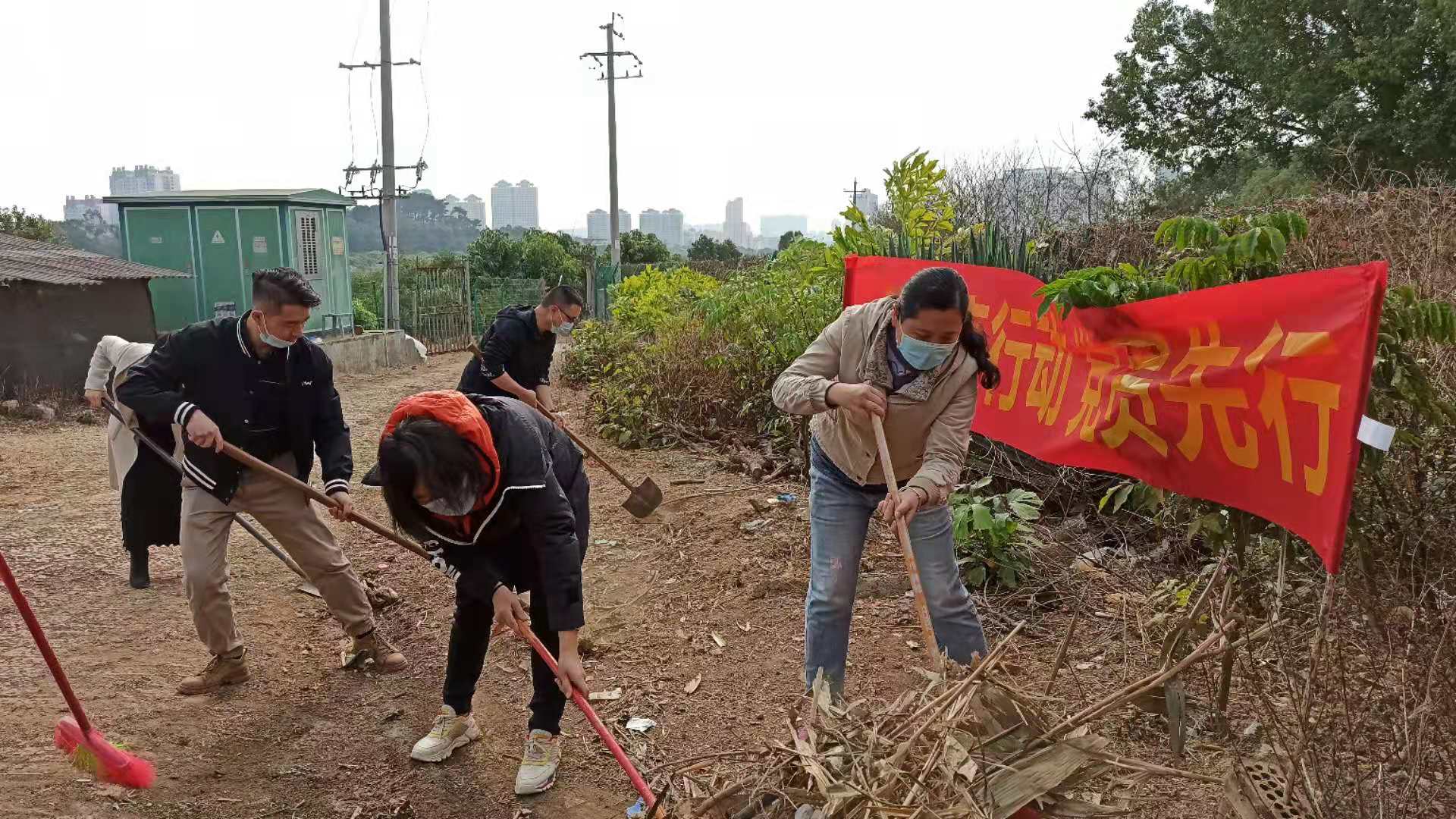 清理杂草枯枝